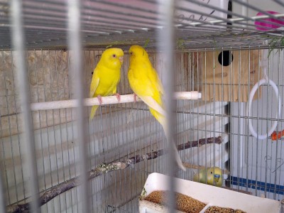 16042012019 (Large).jpg