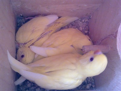 16042012015 (Large).jpg