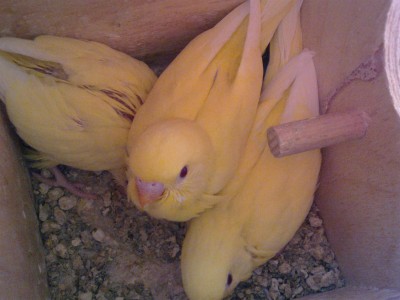 16042012020 (Large).jpg