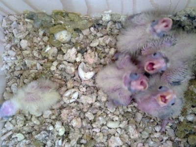 תמונה שלו ליד האחים שלו