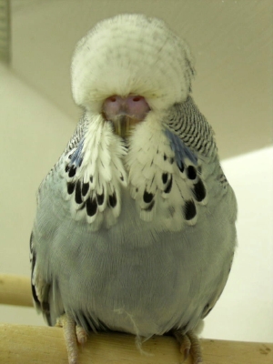1grybaby2aprilbetter.jpg