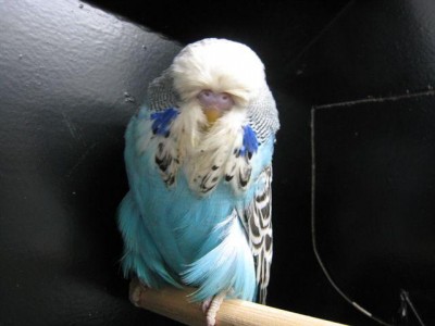 baby202009204.jpg