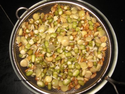 הנבטה (ביום הראשון)