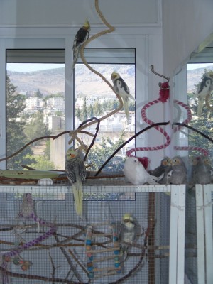 DSCF3930.JPG
