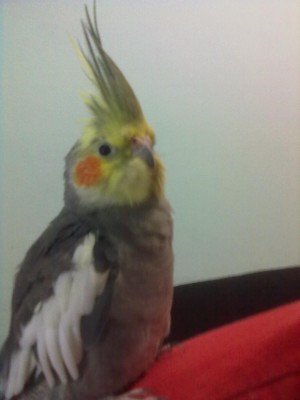 27042012497.jpg