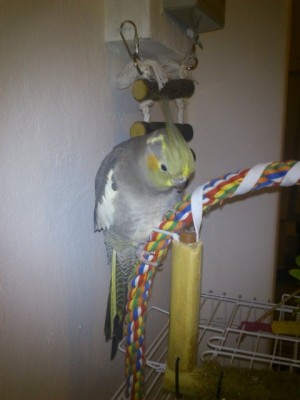 DSC_0259 (Small).JPG