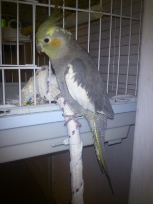 DSC_0256 (Small).JPG