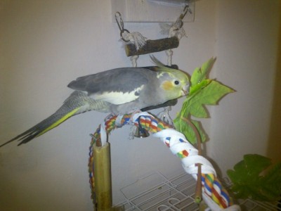 DSC_0260 (Small).JPG