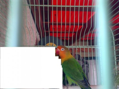 18042012027 (Large).jpg