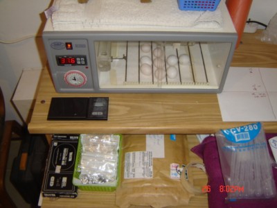 Picture 177.jpg