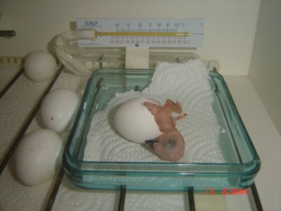 Picture 207.jpg
