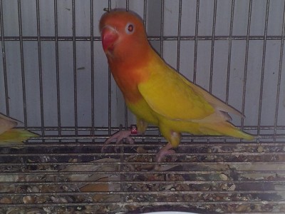 20120505_145912.jpg