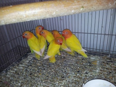 20120505_145836.jpg
