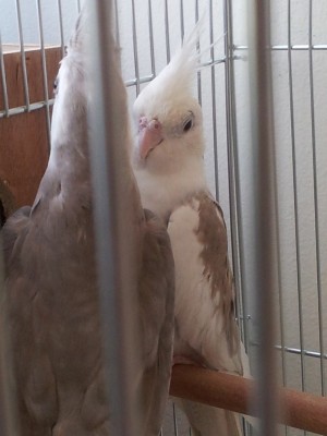 20120504_165614.jpg