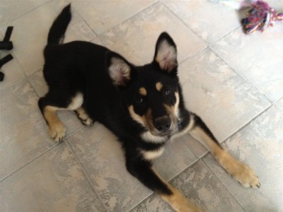 תמונה 002 (Large).jpg