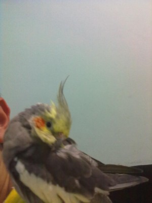03052012522.jpg