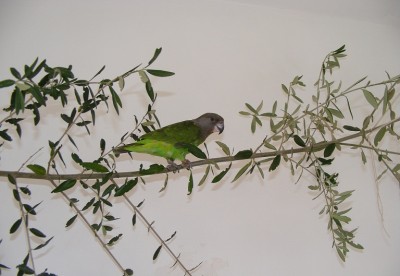 DSCF4478.jpg