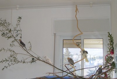 DSCF4479.jpg