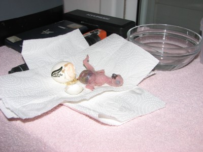 Picture 001.jpg