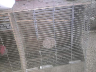 אחד מתאי העץ במבט חיצוני