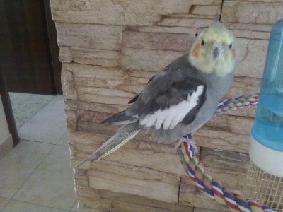 25062012808.jpg