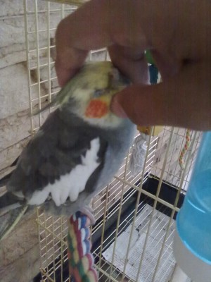 25062012812.jpg