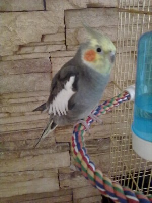 25062012813.jpg