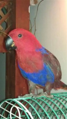 IMAG0181 (Small).jpg