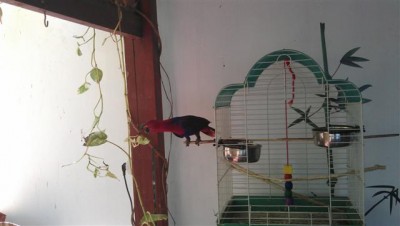 IMAG0183 (Small).jpg