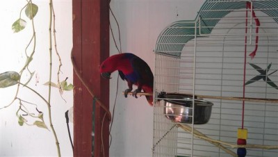 IMAG0184 (Small).jpg