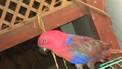 IMAG0182 (Medium).jpg