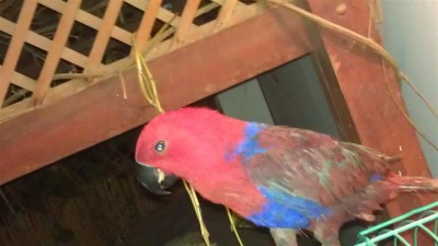 IMAG0182 (Large).jpg