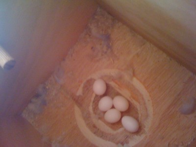 לפני הבקיעה