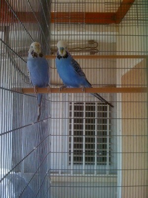 וכמובן  ההורים הגאים!!