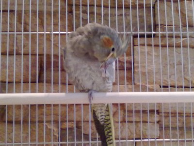 13072012940.jpg