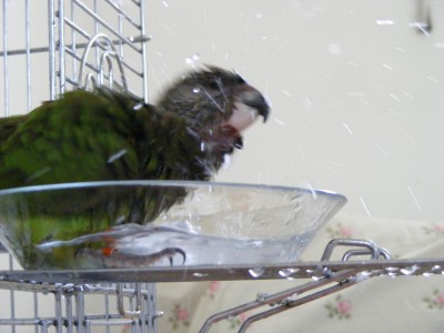 DSCF4830.jpg
