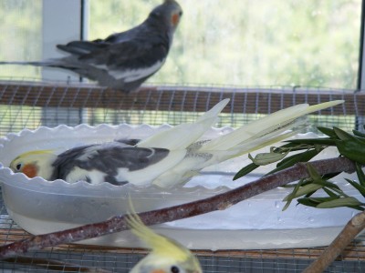 DSCF4853.jpg