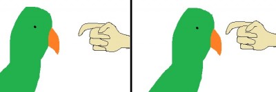 hand.jpg