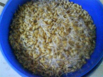 DSC00189 (Small).JPG