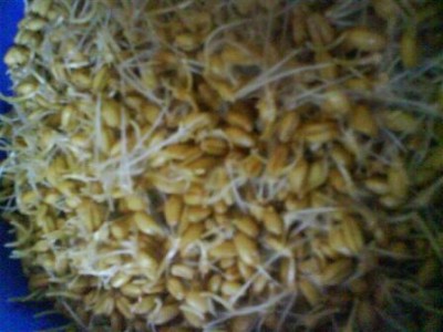 DSC00190 (Small).JPG