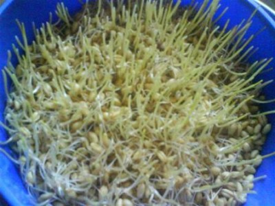 DSC00194 (Small).JPG