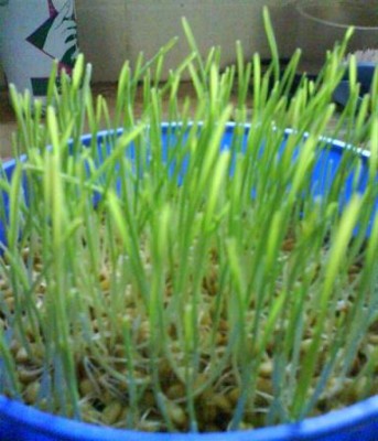 DSC00198 (Small).JPG