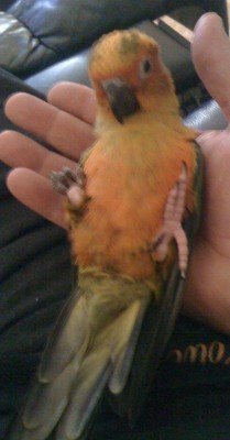 לומד כבר לא לפחוד לשכב בסתלבט