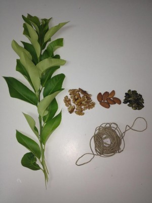 החומרים הדרושים