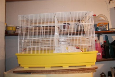 IMG_6245 (Small).JPG