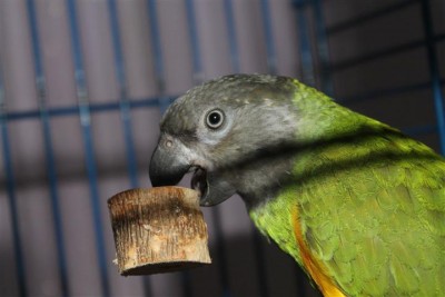 IMG_6261 (Small).JPG