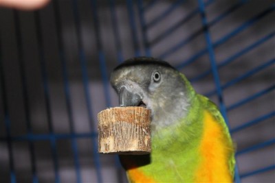 IMG_6262 (Small).JPG