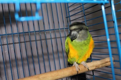 IMG_6263 (Small).JPG