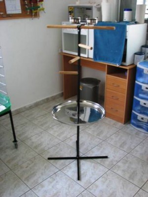 1.JPG