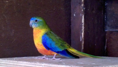 2012-09-19_11-33-16_302 copy.jpg